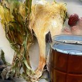  [Bình Thuận] Trà hoa thanh long Vinh Bách 