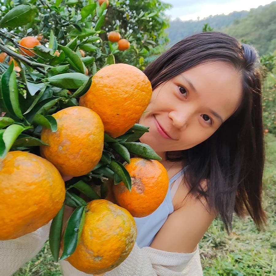  [Kon Tum] Cam sành hữu cơ Măng Đen Hai Đông 