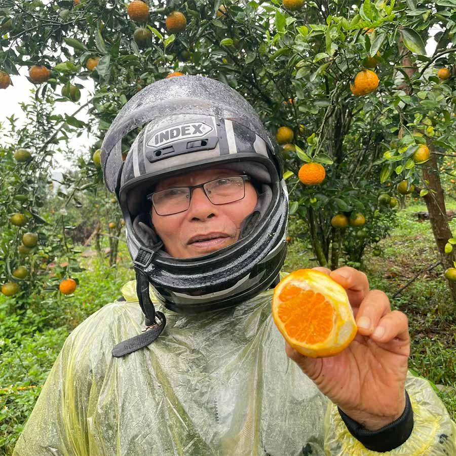  [Kon Tum] Cam sành hữu cơ Măng Đen Hai Đông 