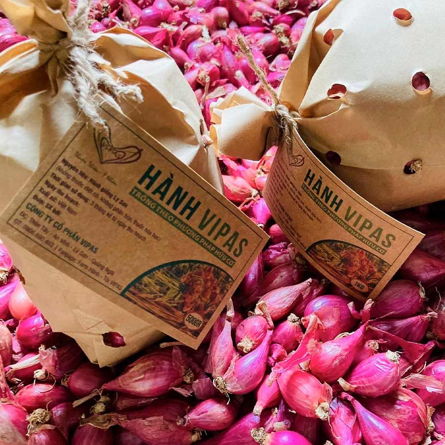  [Quảng Ngãi] Hành Lý Sơn 