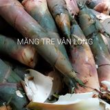  [Gia Lai] Măng khô giòn Vân Long 