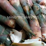  [Gia Lai] Măng giòn Vân Long 
