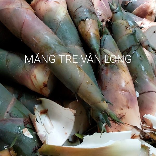  [Gia Lai] Măng giòn muối chua Vân Long 