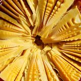  [Gia Lai] Măng khô giòn Vân Long 