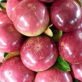  [Tiền Giang] Vú sữa tím Bách Thảo 