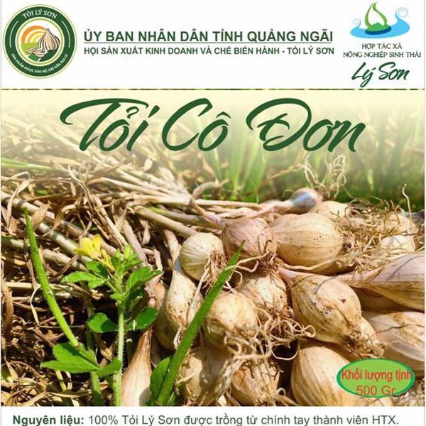  [Quảng Ngãi] Tỏi Lý Sơn (Tỏi cô đơn) 