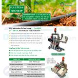  Z [TE 3.4] Trạm Bơm Tưới Nông Nghiệp Hút Phân Định Lượng 1 - 10 HP - Giải Pháp Tưới Tiêu Tự Động Tối Ưu Cho Nông Nghiệp Sinh Thái 