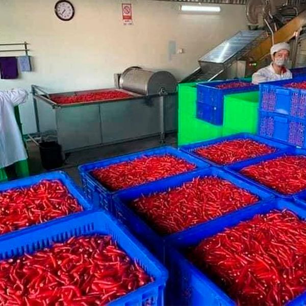  [Huế] Tương ớt Vinh Xuân (Tương ớt xứ Huế) 