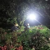  [Bắc Giang] Vải thiều Lục Ngạn 