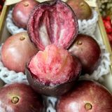  [Tiền Giang] Vú sữa lò rèn tím 