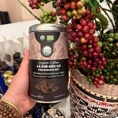  [Gia Lai] Cà phê hữu cơ 