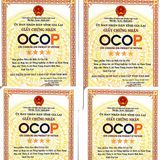  [Gia Lai] Tiêu hữu cơ 