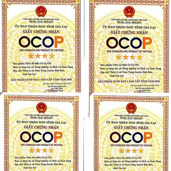  [Gia Lai] Tiêu hữu cơ 