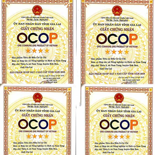  [Gia Lai] Tiêu hữu cơ 