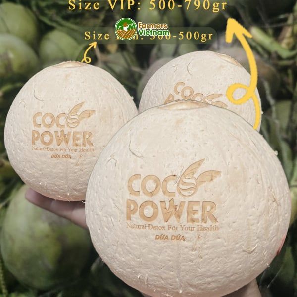  Dừa Dứa gọt trọc (xiêm thơm Thái) [Bến Tre] 