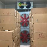  [Đồng Nai] Chuối già Nam Mỹ 