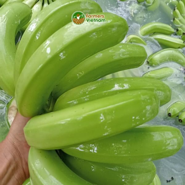  [Đồng Nai] Chuối già Nam Mỹ 