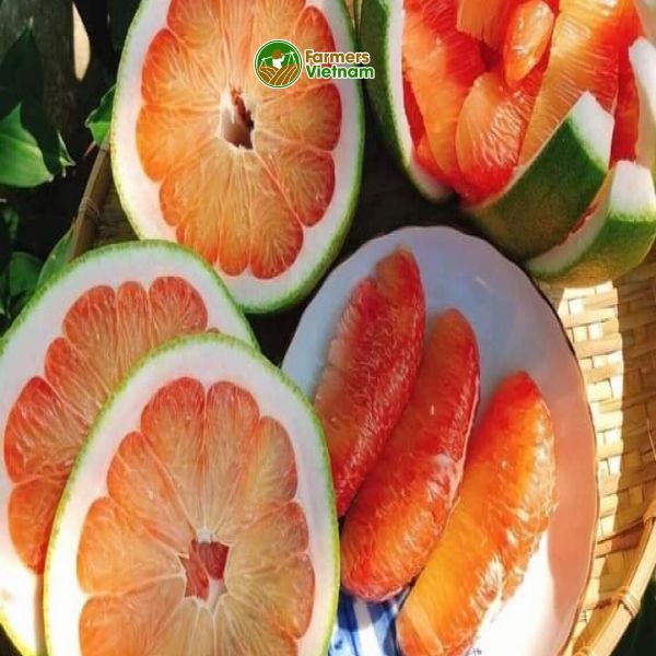  [Bến Tre] Bưởi da xanh - Cô gái bưởi hồng 