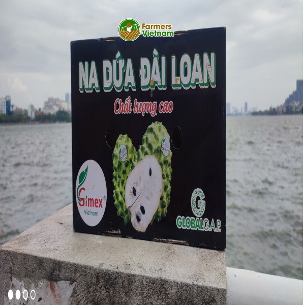  [Cần Thơ] Na Đài (Na dứa) tiêu chuẩn Global GAP 