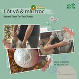  Dừa xiêm xanh gọt trọc [Bến Tre] 