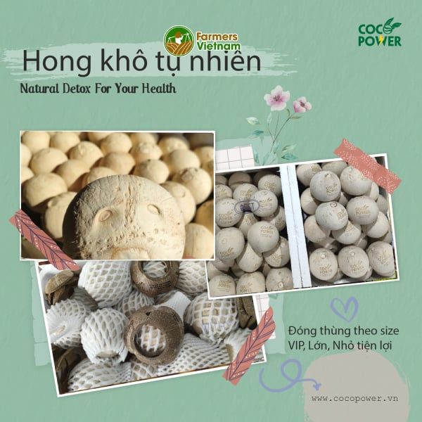  Dừa xiêm xanh gọt trọc [Bến Tre] 