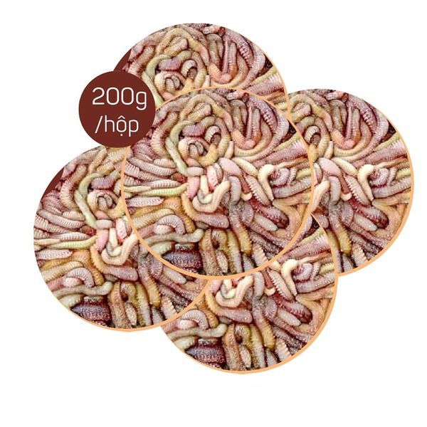  [Hải Phòng] Rươi ngủ đông (200gr/hộp) 