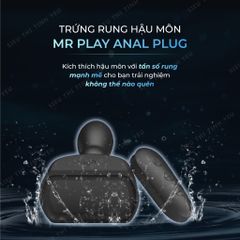 Trứng rung hậu môn Pretty Love Mr Play Anal Plug 12 chế độ rung xoay dùng sạc