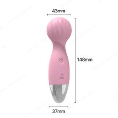 Chày rung mini cầm tay 12 tần số rung sạc điện