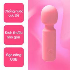 Chày rung mini cầm tay AV 12 tần số rung sạc điện