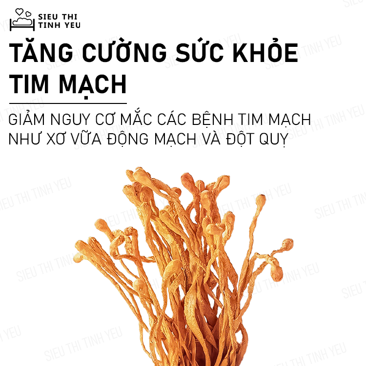 Đông Trùng Hạ Thảo khô thượng hạng bồi bổ cơ thể hủ 12g