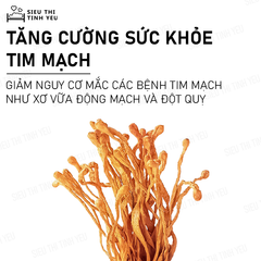 Đông Trùng Hạ Thảo khô thượng hạng bồi bổ cơ thể hủ 12g