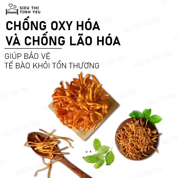 Đông Trùng Hạ Thảo khô thượng hạng bồi bổ cơ thể hủ 12g