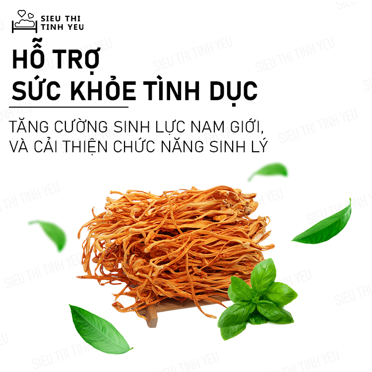 Đông Trùng Hạ Thảo khô thượng hạng bồi bổ cơ thể hủ 12g