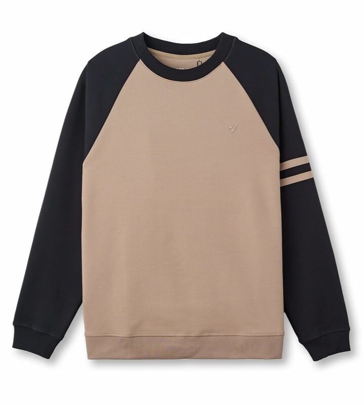  Áo nỉ can phối màu tay, in logo Horse ngực FWTW005 