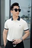  Áo Polo trơn bo kẻ FSTP003 