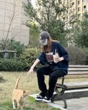  Nón MLB Màu Xám Logo Ny Nhỏ | 3ACP7701N-50CGS Hàng Chính Hãng 