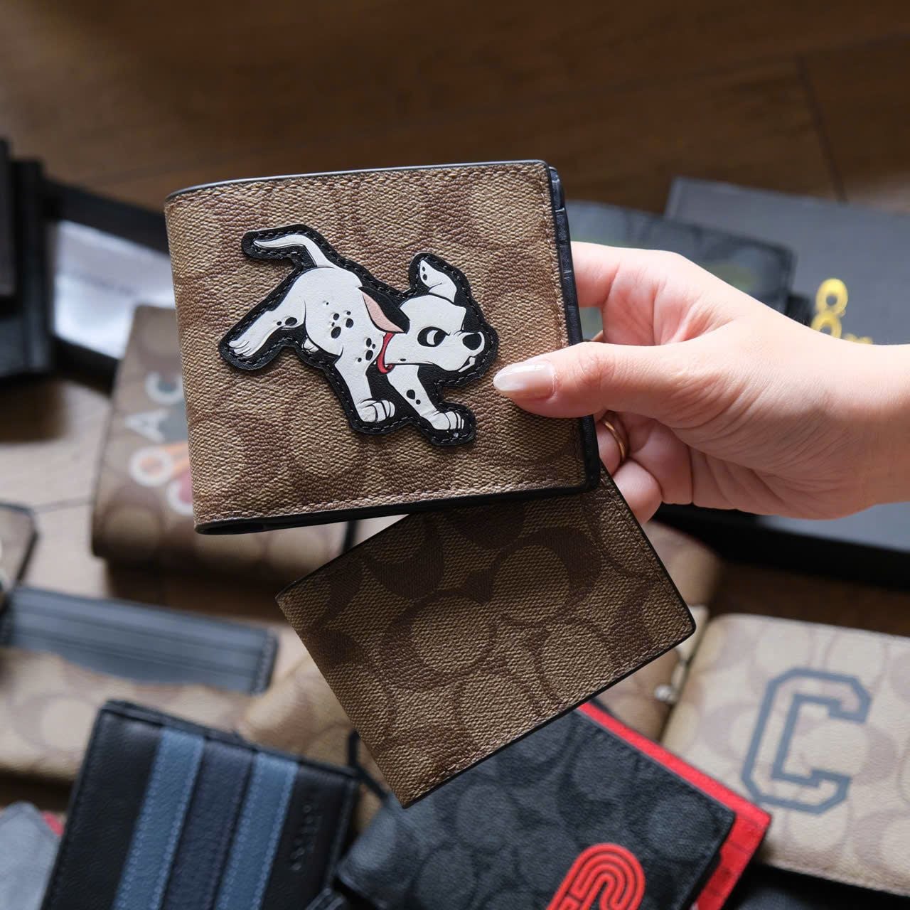  Ví Coach Chó Đốm Hàng Chính Hãng 