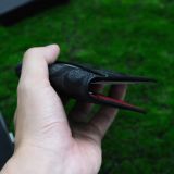  Ví & Holder Card Coach Đen C Chữ Xanh Hàng Chính Hãng 