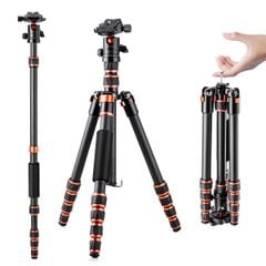 Chân máy ảnh K&F Concept C225C0+BH-25 Carbon - KF09.077V2