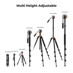 Chân máy ảnh K&Fconcept K234A7+FH-03 - KF09.136