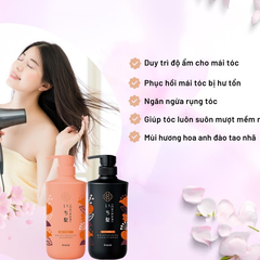 Bộ dầu gội xả Ichikami Nhật Bản 480ml