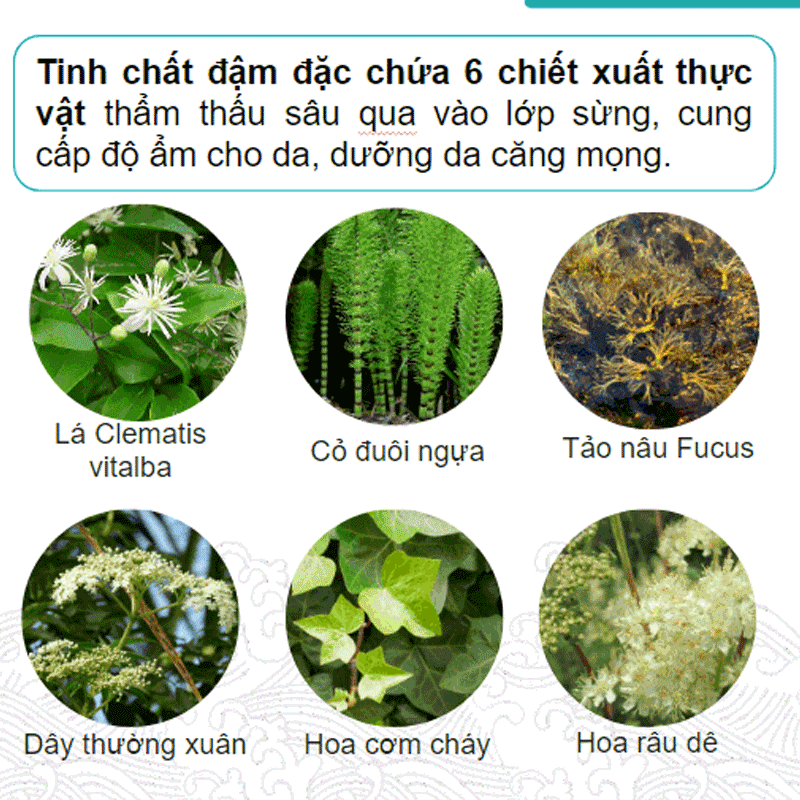 MẶT NẠ KOSE DƯỠNG TRẮNG DA TINH CHẤT TRANEXAMIC ACID CLEAR TURN HỘP 5 MIẾNG