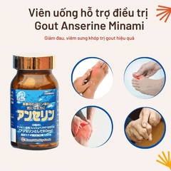 Viên Uống Hỗ Trợ Điều Trị Bệnh Gout Anserine Minami Nhật Bản 240 viên
