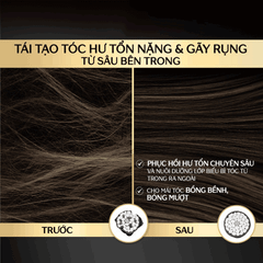 Bộ Đôi Gội Xả Phục Hồi Hư Tổn Nặng & Giảm Gãy Rụng - Công Nghệ Ion Tsubaki Premium EX Intensive Repair 490ml
