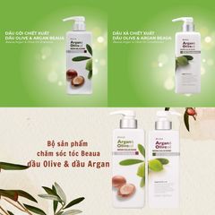 Bộ Dầu Gội Xả BEAUA Chiết Xuất Hạt Argan Và Dầu Oliu Nhật Bản, Phục Hồi Tóc Hư Tổn, Suôn Mượt 550Ml