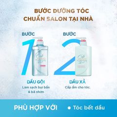 Bộ đôi gội xả Sạch Dầu, Sạch Gàu, Mát Lạnh Tsubaki Premium Cool Nhật Bản (490ml/chai)