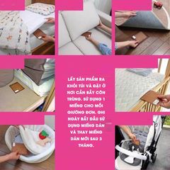 MIếng Dán Bẫy Côn Trùng Kincho 3 Miếng/ Hộp