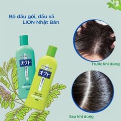 Bộ Dầu Gội Xả Lion OKUTO Giảm Gàu Và Nấm Da Đầu 320ml