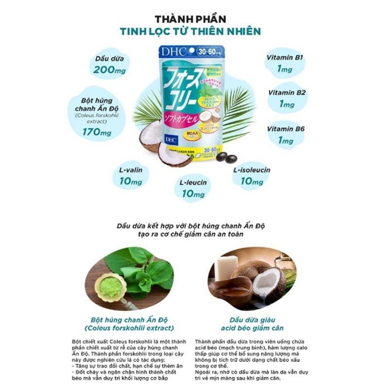 Thực Phẩm Bảo Vệ Sức Khỏe Viên Uống Giảm Cân Dầu Dừa DHC Forskohlii Soft Capsule