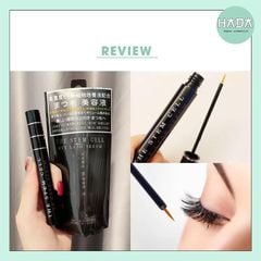 Dưỡng Dài Mi Lông Mày Chiết Xuất Tế Bào Gốc The Stem Cell - 6ml Nhật Bản.